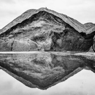 Bird on a faced mountain by Bullet-ray Photography